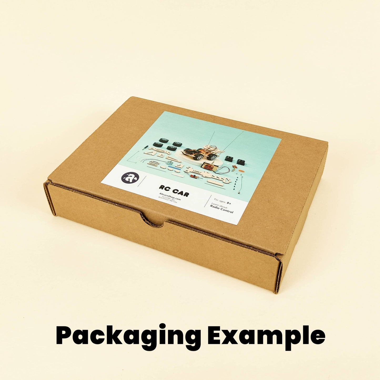 Music Box, Educational STEM Toy, DIY Kit